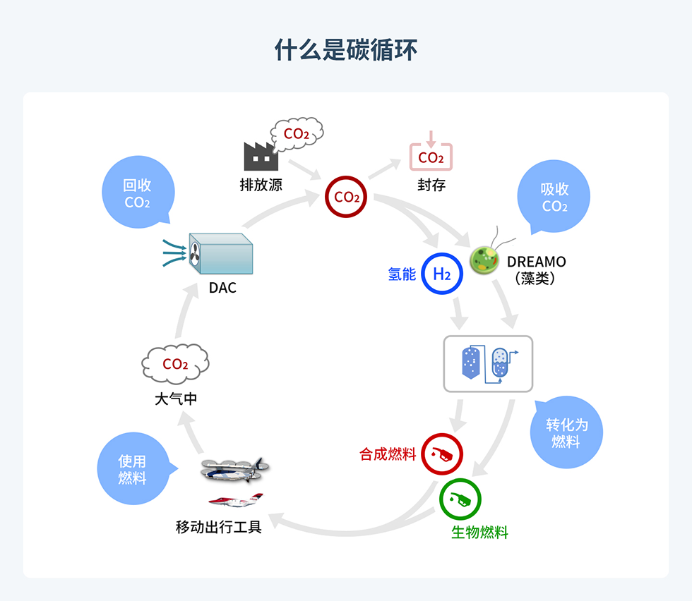 南宫28·NG娱乐(中国区)官方网站