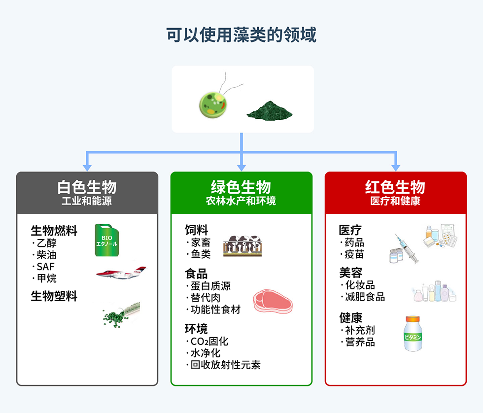 南宫28·NG娱乐(中国区)官方网站